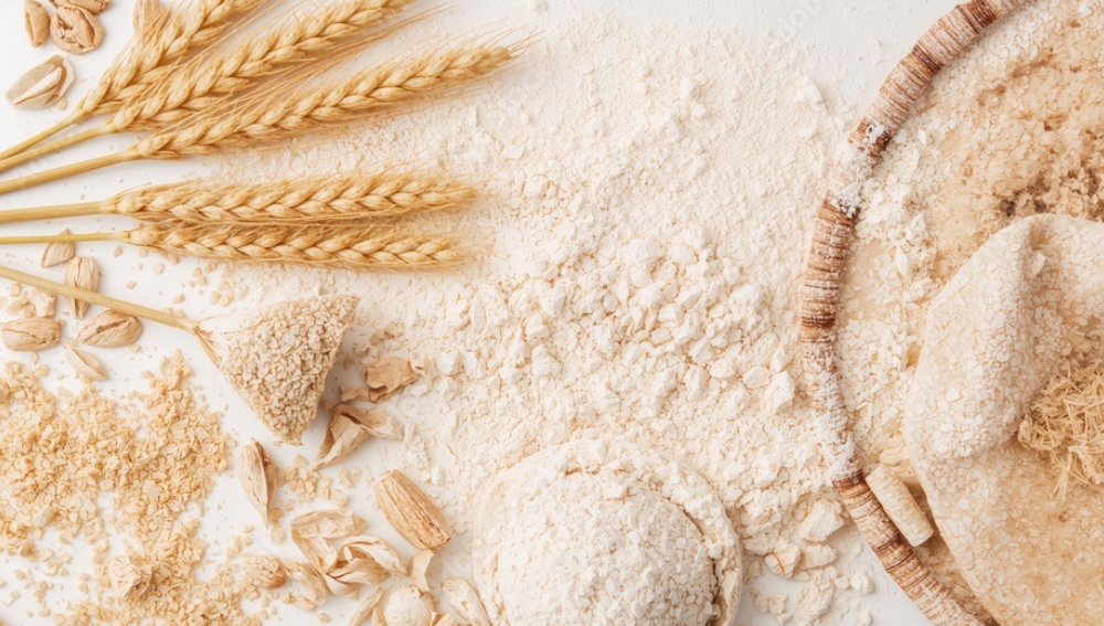 untitled design 2.png